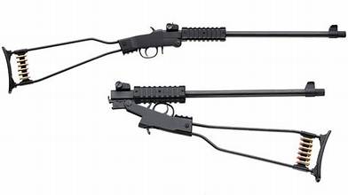 CHIAPPA LITTLE BADGER SURVIVAL 22LR 16.5" BLACK