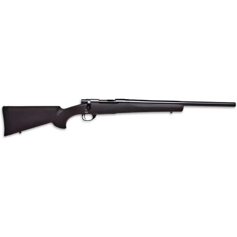 HOWA HB 223 WITH BLACK HOGUE STOCK, SIG SCOPE AND GUN BAG PACKAGE