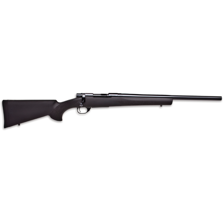 HOWA HB 223 WITH BLACK HOGUE STOCK, SIG SCOPE AND GUN BAG PACKAGE